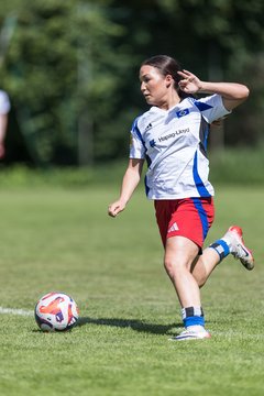 Bild 197 - wBJ Hamburger SV - VfL Wolfsburg : Ergebnis: 5:1